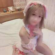 ヒメ日記 2025/09/30 09:42 投稿 こい ホワイトベル