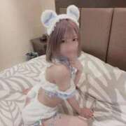 ヒメ日記 2025/11/21 08:42 投稿 こい ホワイトベル