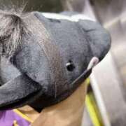 ヒメ日記 2026/03/12 17:43 投稿 らら Ace(エース)