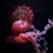 ヒメ日記 2026/03/14 09:57 投稿 らら Ace(エース)