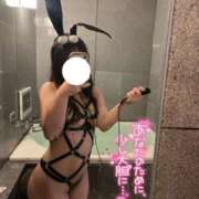 ヒメ日記 2026/01/29 08:03 投稿 ゆな 池袋人妻城