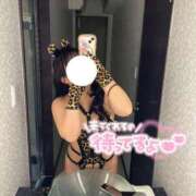 ヒメ日記 2026/04/03 08:12 投稿 ゆな 池袋人妻城