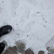 ヒメ日記 2026/02/08 13:04 投稿 翠(すい) 神戸泡洗体ハイブリッドエステ