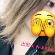 ヒメ日記 2025/09/20 15:23 投稿 なな 千葉北インターちゃんこ