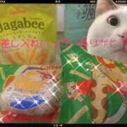 ヒメ日記 2025/09/27 22:33 投稿 なな 千葉北インターちゃんこ