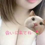 なな なかなか 千葉北インターちゃんこ