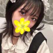 ヒメ日記 2025/09/26 23:16 投稿 るびー アリスカフェ