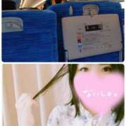 ヒメ日記 2025/09/22 11:47 投稿 みなみ 水戸人妻花壇