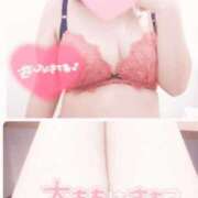 ヒメ日記 2025/09/25 11:34 投稿 みなみ 水戸人妻花壇