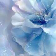 ヒメ日記 2025/11/16 10:30 投稿 亜沙（あさ） Ｓ＆Ｍ　極嬢