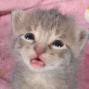 ヒメ日記 2025/09/26 20:01 投稿 める ZERO