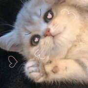 める 明日と明後日🐱💬💕✨ ZERO