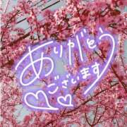 ヒメ日記 2026/04/28 00:28 投稿 そら☆愛嬌満載癒し系☆ ぽちゃぶらんか甲府店(カサブランカグループ)