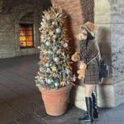 ヒメ日記 2025/11/13 13:00 投稿 みゅい☆超可愛い清楚スタイル抜群 PREMIUM萌え可愛いチョコレート～全てのステージで感動の体験を～