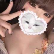 ヒメ日記 2026/02/20 18:23 投稿 ことり ソープランド AQUA（アクア）