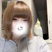 ヒメ日記 2026/03/14 19:10 投稿 ことり ソープランド AQUA（アクア）