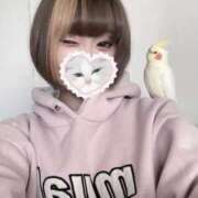 ヒメ日記 2026/04/22 16:51 投稿 ことり ソープランド AQUA（アクア）