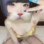 ヒメ日記 2026/06/12 21:05 投稿 ことり ソープランド AQUA（アクア）