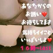 ヒメ日記 2025/11/07 15:03 投稿 なぎさ 加古川10,000円ポッキー