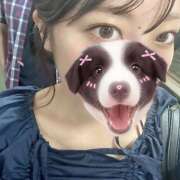 けいな 出勤🎵 an_an（アンアン）