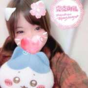 ヒメ日記 2025/11/18 00:39 投稿 ゆか 浜松駅前ちゃんこ