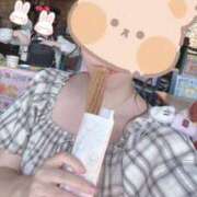 ヒメ日記 2025/10/28 02:34 投稿 つばき トマトなび