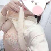 ヒメ日記 2025/11/11 14:39 投稿 つばき トマトなび