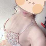 ヒメ日記 2025/11/26 13:08 投稿 つばき トマトなび