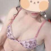 つばき またまた トマトなび