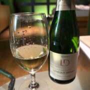 ヒメ日記 2025/09/27 16:03 投稿 桜子【さくらこ】 BLENDA V.I.P東京店