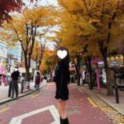 ヒメ日記 2025/12/03 23:00 投稿 桜子【さくらこ】 BLENDA V.I.P東京店