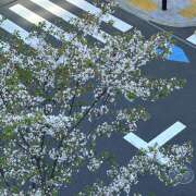 ヒメ日記 2026/04/09 20:34 投稿 みや an_an（アンアン）