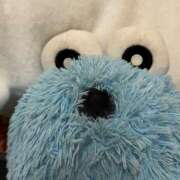 ヒメ日記 2026/04/12 22:52 投稿 みや an_an（アンアン）