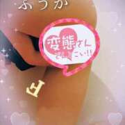 ヒメ日記 2025/09/30 11:30 投稿 ふうか あとりえ(ATELIER)