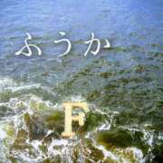 ヒメ日記 2025/10/10 11:29 投稿 ふうか あとりえ(ATELIER)