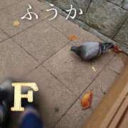 ヒメ日記 2025/10/14 11:30 投稿 ふうか あとりえ(ATELIER)