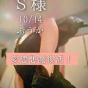 ヒメ日記 2025/10/15 17:01 投稿 ふうか あとりえ(ATELIER)