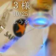 ヒメ日記 2025/10/27 14:30 投稿 ふうか あとりえ(ATELIER)