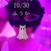 ヒメ日記 2025/10/31 07:30 投稿 ふうか あとりえ(ATELIER)