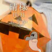 ヒメ日記 2025/11/01 07:30 投稿 ふうか あとりえ(ATELIER)