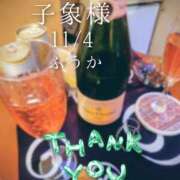 ヒメ日記 2025/11/05 11:15 投稿 ふうか あとりえ(ATELIER)