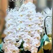 ヒメ日記 2025/11/07 10:39 投稿 ふうか あとりえ(ATELIER)