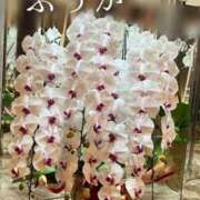 ヒメ日記 2025/11/09 11:42 投稿 ふうか あとりえ(ATELIER)