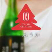 ヒメ日記 2025/11/12 11:45 投稿 ふうか あとりえ(ATELIER)