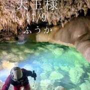 ヒメ日記 2025/11/12 15:01 投稿 ふうか あとりえ(ATELIER)