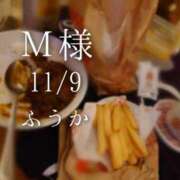 ヒメ日記 2025/11/12 15:30 投稿 ふうか あとりえ(ATELIER)