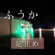 ヒメ日記 2025/11/12 20:22 投稿 ふうか あとりえ(ATELIER)