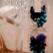 ヒメ日記 2025/11/18 08:30 投稿 ふうか あとりえ(ATELIER)