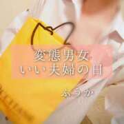 ヒメ日記 2025/11/22 20:03 投稿 ふうか あとりえ(ATELIER)