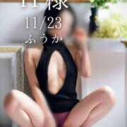 ヒメ日記 2025/11/24 09:45 投稿 ふうか あとりえ(ATELIER)